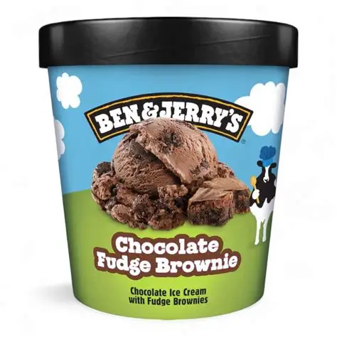 Ben and Jerry’s Chocolate Fudge Brownie (120ml)